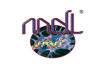MDL