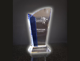 Team Care Award
